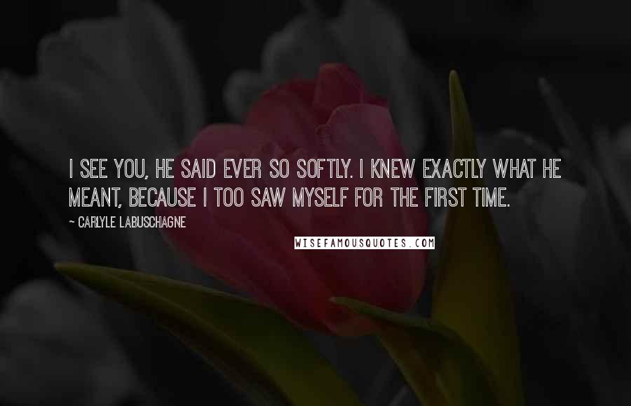 Carlyle Labuschagne Quotes: I see you, he said ever so softly. I knew exactly what he meant, because I too saw myself for the first time.