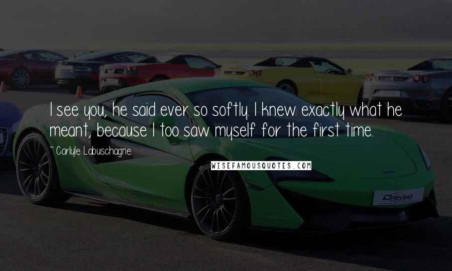 Carlyle Labuschagne Quotes: I see you, he said ever so softly. I knew exactly what he meant, because I too saw myself for the first time.