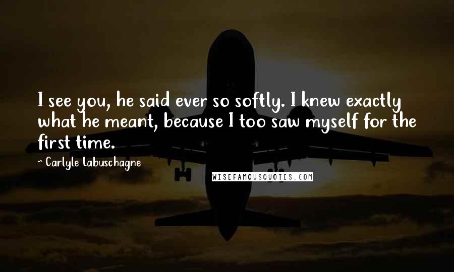 Carlyle Labuschagne Quotes: I see you, he said ever so softly. I knew exactly what he meant, because I too saw myself for the first time.