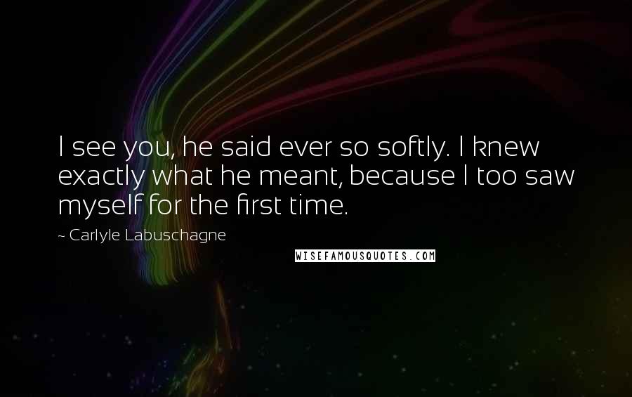 Carlyle Labuschagne Quotes: I see you, he said ever so softly. I knew exactly what he meant, because I too saw myself for the first time.