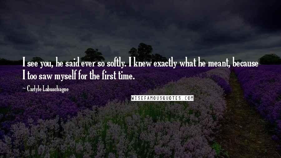Carlyle Labuschagne Quotes: I see you, he said ever so softly. I knew exactly what he meant, because I too saw myself for the first time.