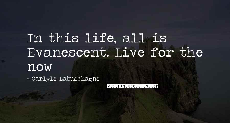 Carlyle Labuschagne Quotes: In this life, all is Evanescent. Live for the now