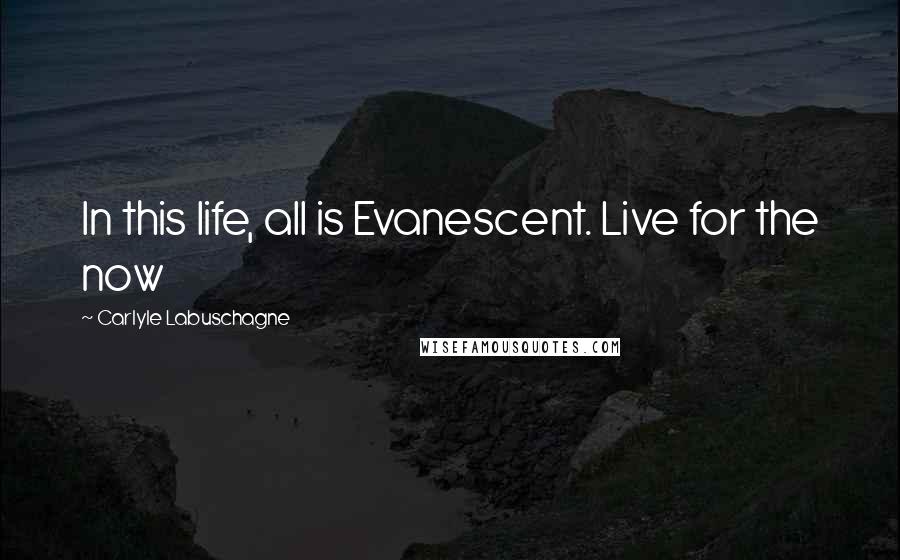 Carlyle Labuschagne Quotes: In this life, all is Evanescent. Live for the now