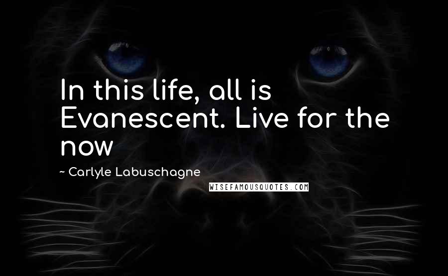 Carlyle Labuschagne Quotes: In this life, all is Evanescent. Live for the now