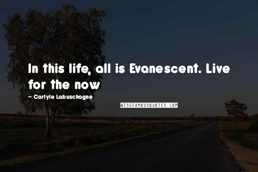 Carlyle Labuschagne Quotes: In this life, all is Evanescent. Live for the now