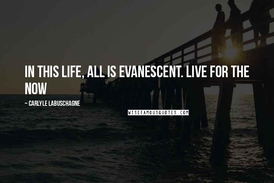 Carlyle Labuschagne Quotes: In this life, all is Evanescent. Live for the now