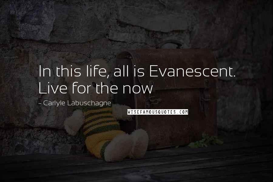 Carlyle Labuschagne Quotes: In this life, all is Evanescent. Live for the now