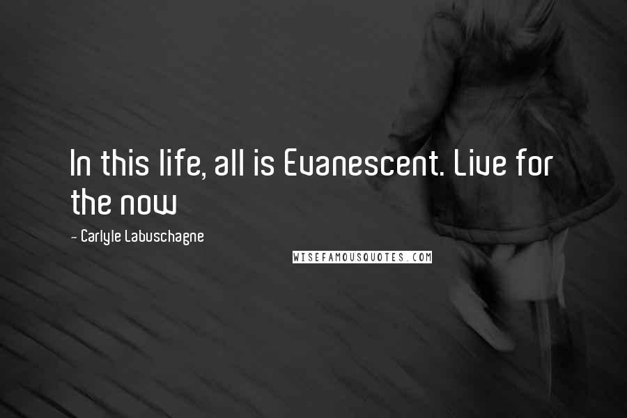 Carlyle Labuschagne Quotes: In this life, all is Evanescent. Live for the now