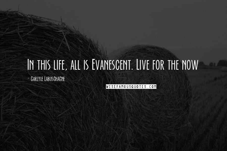 Carlyle Labuschagne Quotes: In this life, all is Evanescent. Live for the now