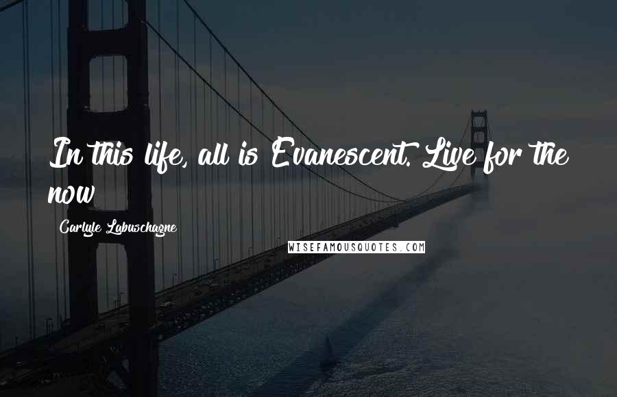 Carlyle Labuschagne Quotes: In this life, all is Evanescent. Live for the now