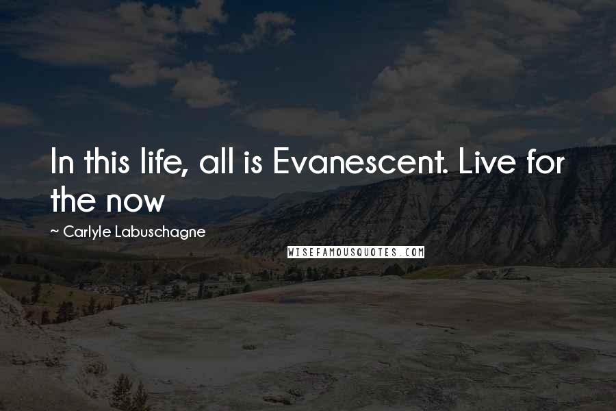 Carlyle Labuschagne Quotes: In this life, all is Evanescent. Live for the now