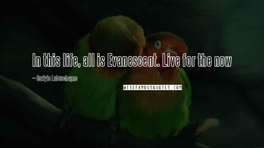 Carlyle Labuschagne Quotes: In this life, all is Evanescent. Live for the now