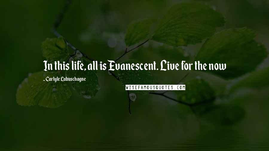 Carlyle Labuschagne Quotes: In this life, all is Evanescent. Live for the now