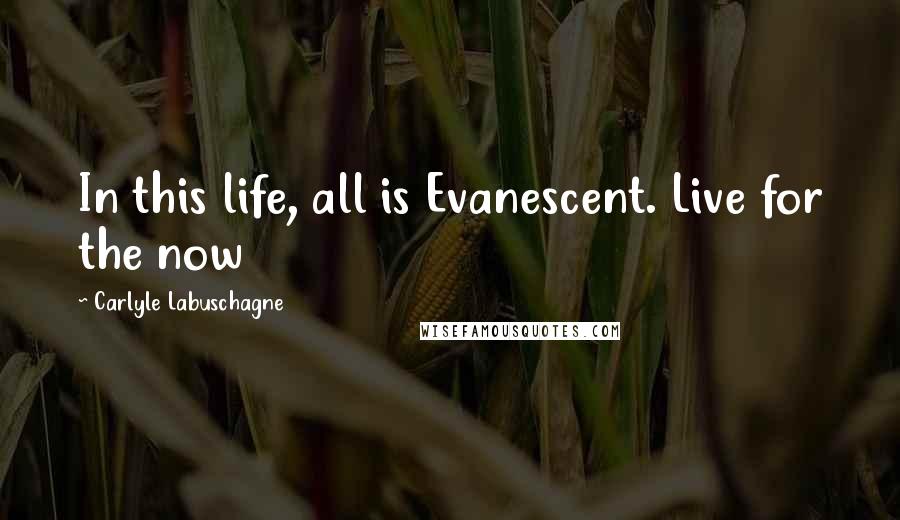 Carlyle Labuschagne Quotes: In this life, all is Evanescent. Live for the now