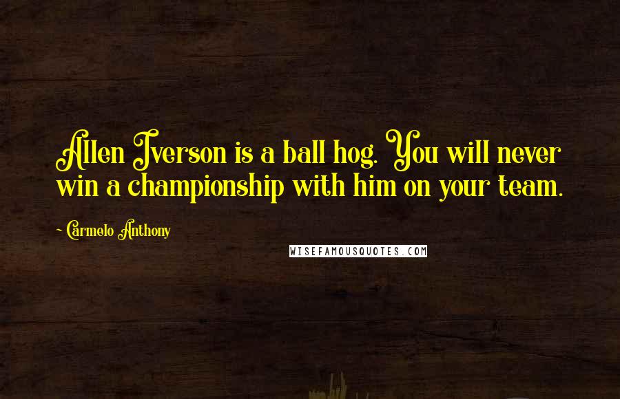 Carmelo Anthony Quotes: Allen Iverson is a ball hog. You will never win a championship with him on your team.