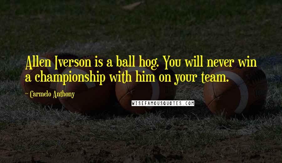 Carmelo Anthony Quotes: Allen Iverson is a ball hog. You will never win a championship with him on your team.