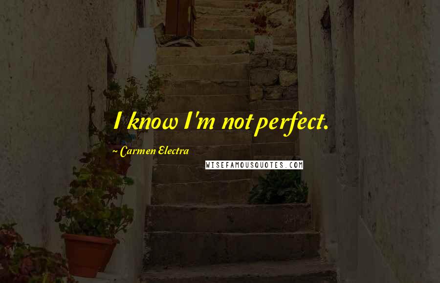 Carmen Electra Quotes: I know I'm not perfect.