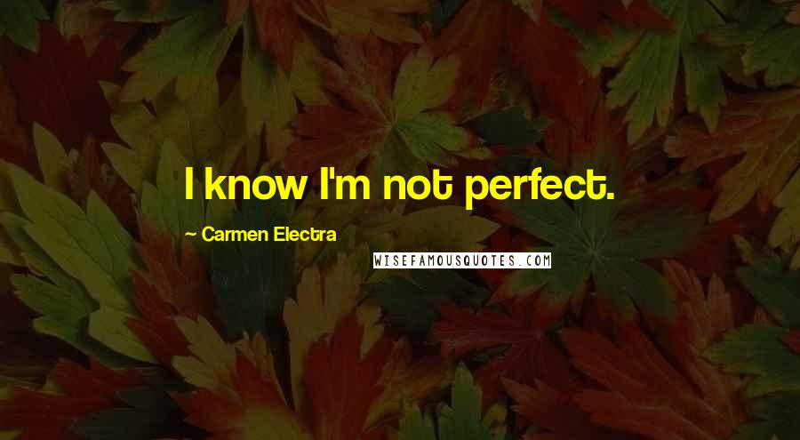 Carmen Electra Quotes: I know I'm not perfect.