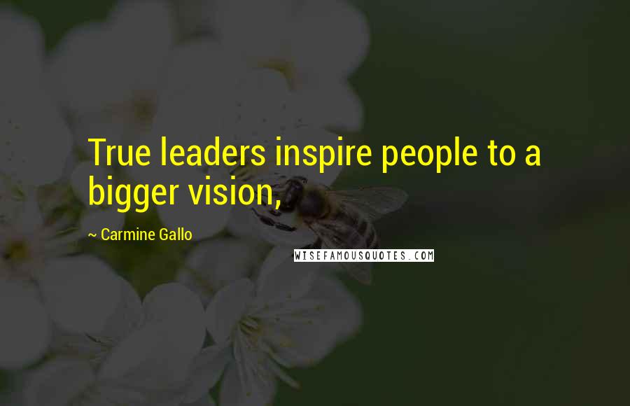 Carmine Gallo Quotes: True leaders inspire people to a bigger vision,