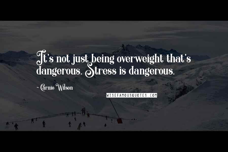 Carnie Wilson Quotes: It's not just being overweight that's dangerous. Stress is dangerous.