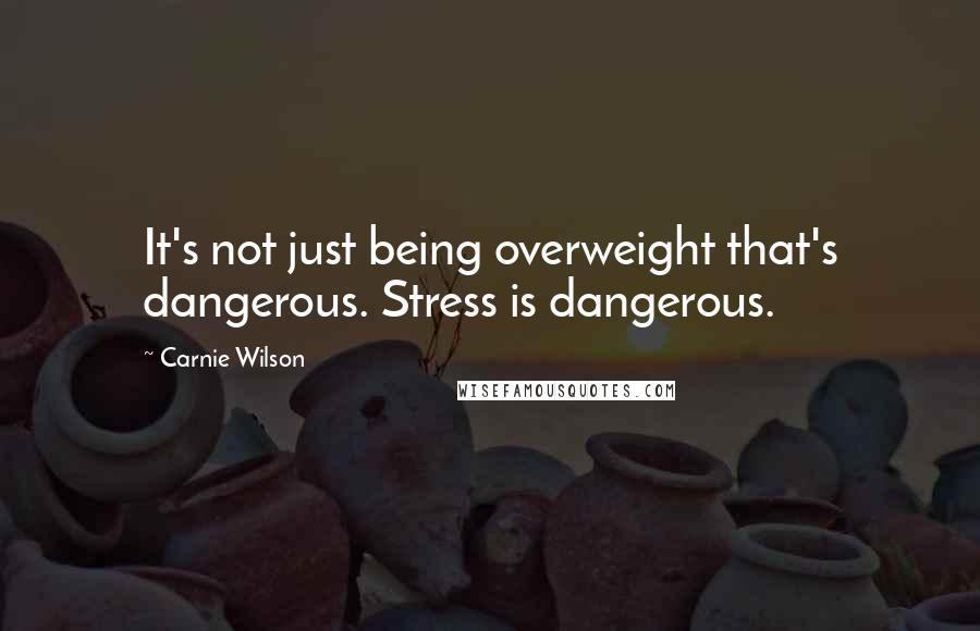 Carnie Wilson Quotes: It's not just being overweight that's dangerous. Stress is dangerous.