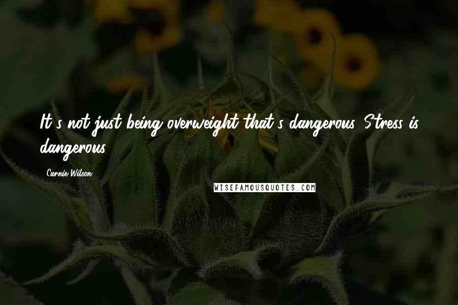 Carnie Wilson Quotes: It's not just being overweight that's dangerous. Stress is dangerous.