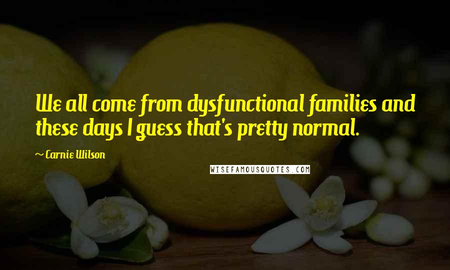 Carnie Wilson Quotes: We all come from dysfunctional families and these days I guess that's pretty normal.