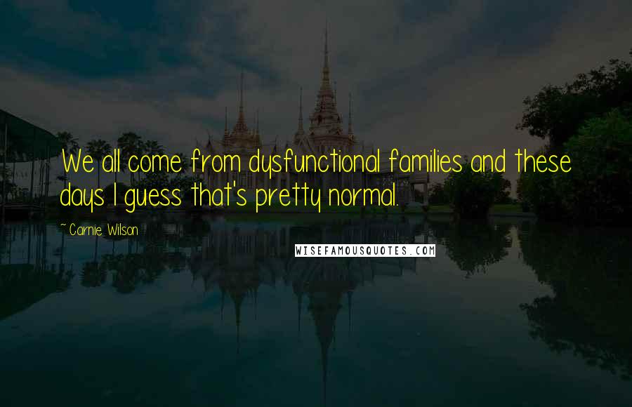 Carnie Wilson Quotes: We all come from dysfunctional families and these days I guess that's pretty normal.