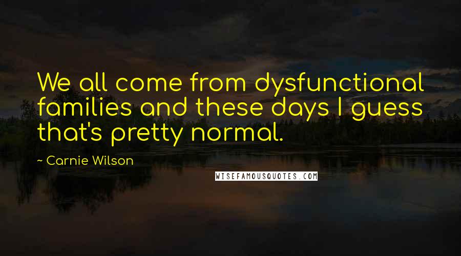 Carnie Wilson Quotes: We all come from dysfunctional families and these days I guess that's pretty normal.