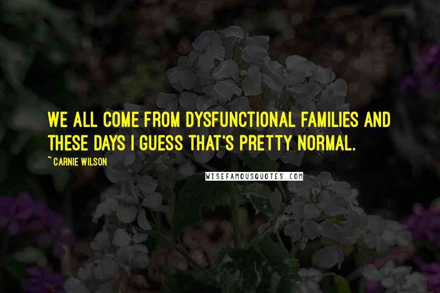 Carnie Wilson Quotes: We all come from dysfunctional families and these days I guess that's pretty normal.