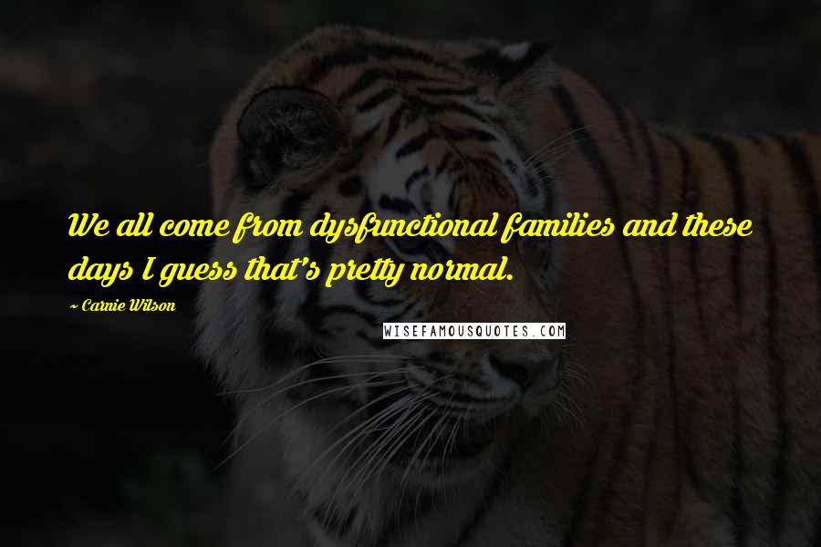 Carnie Wilson Quotes: We all come from dysfunctional families and these days I guess that's pretty normal.