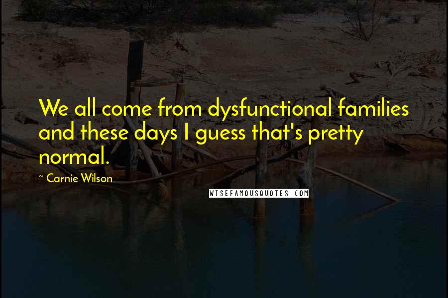 Carnie Wilson Quotes: We all come from dysfunctional families and these days I guess that's pretty normal.