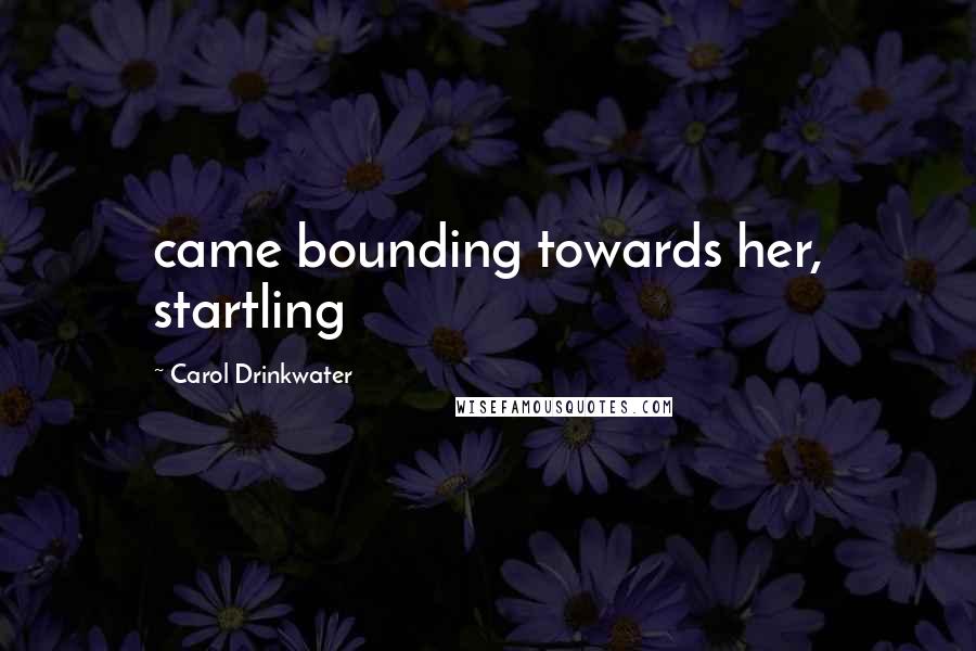 Carol Drinkwater Quotes: came bounding towards her, startling