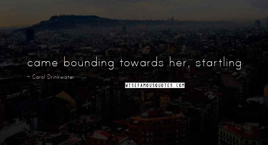 Carol Drinkwater Quotes: came bounding towards her, startling