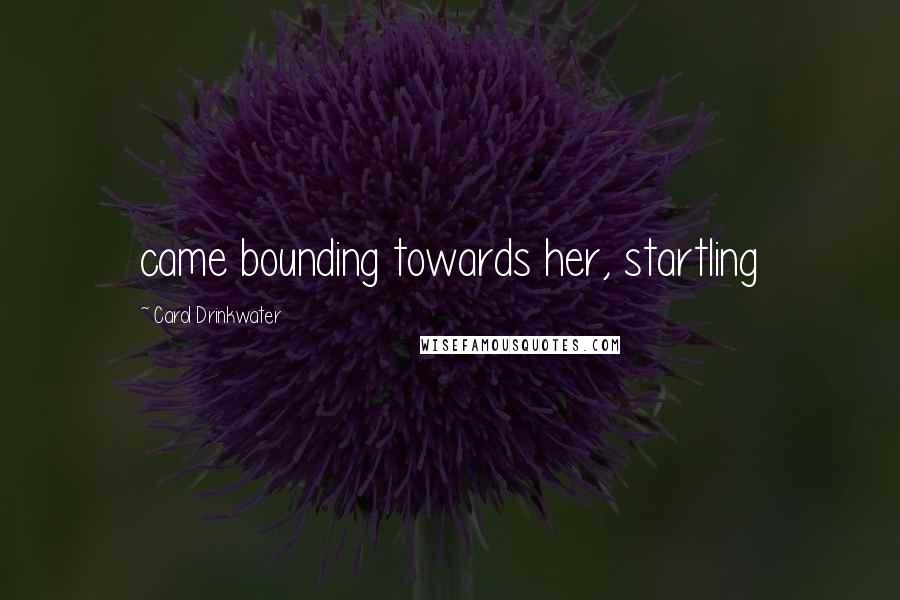 Carol Drinkwater Quotes: came bounding towards her, startling