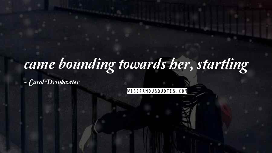 Carol Drinkwater Quotes: came bounding towards her, startling