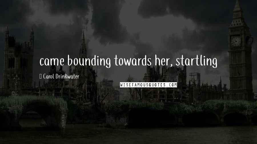 Carol Drinkwater Quotes: came bounding towards her, startling