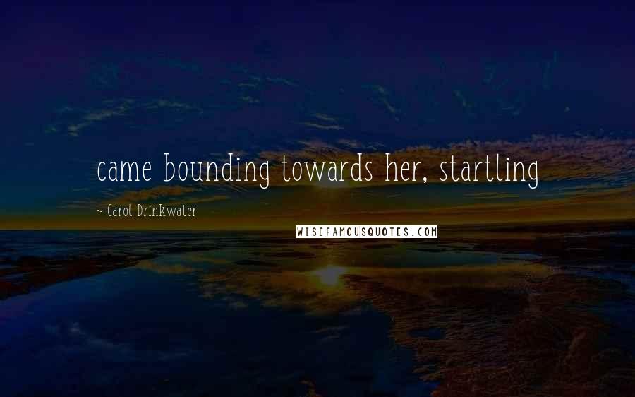 Carol Drinkwater Quotes: came bounding towards her, startling