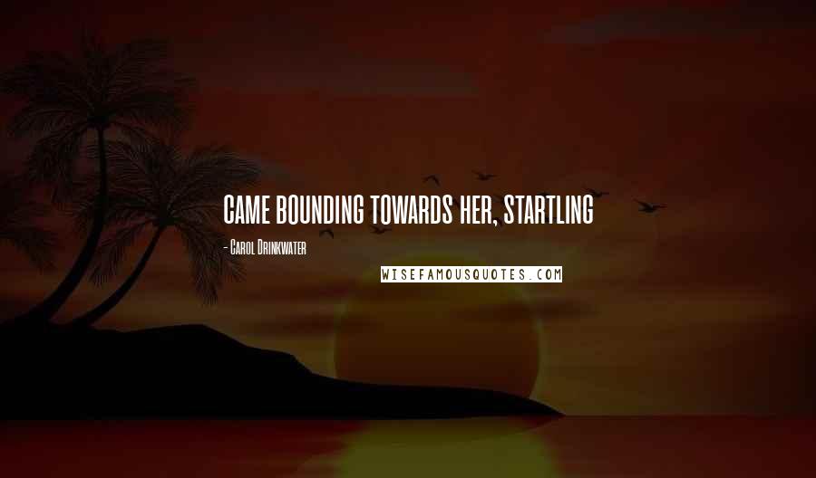 Carol Drinkwater Quotes: came bounding towards her, startling