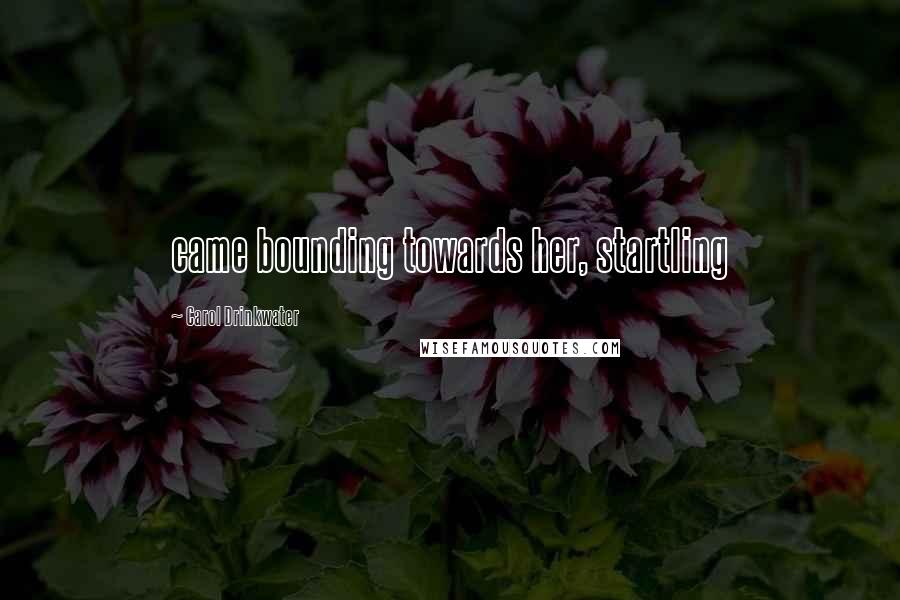 Carol Drinkwater Quotes: came bounding towards her, startling