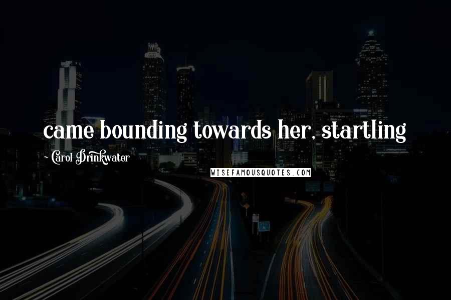 Carol Drinkwater Quotes: came bounding towards her, startling