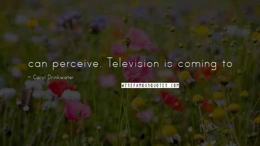 Carol Drinkwater Quotes: can perceive. Television is coming to