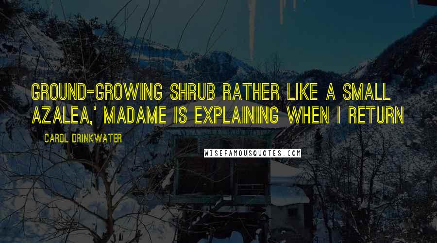 Carol Drinkwater Quotes: ground-growing shrub rather like a small azalea,' Madame is explaining when I return