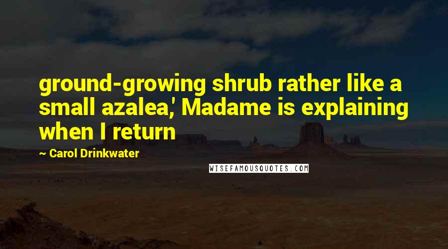 Carol Drinkwater Quotes: ground-growing shrub rather like a small azalea,' Madame is explaining when I return