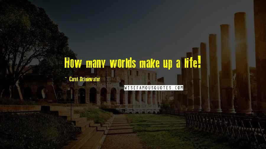 Carol Drinkwater Quotes: How many worlds make up a life!