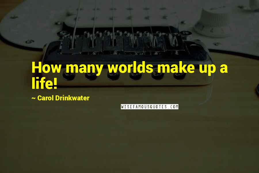 Carol Drinkwater Quotes: How many worlds make up a life!