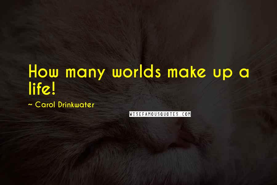 Carol Drinkwater Quotes: How many worlds make up a life!