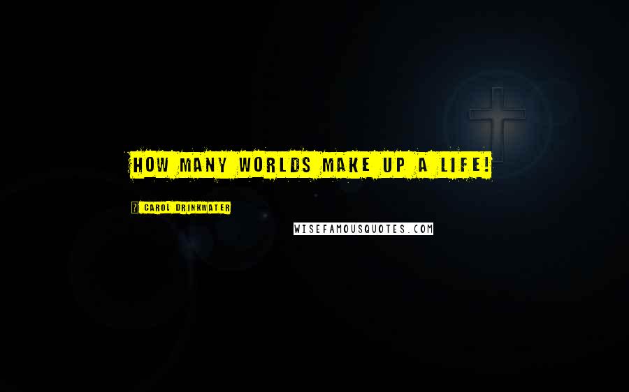 Carol Drinkwater Quotes: How many worlds make up a life!