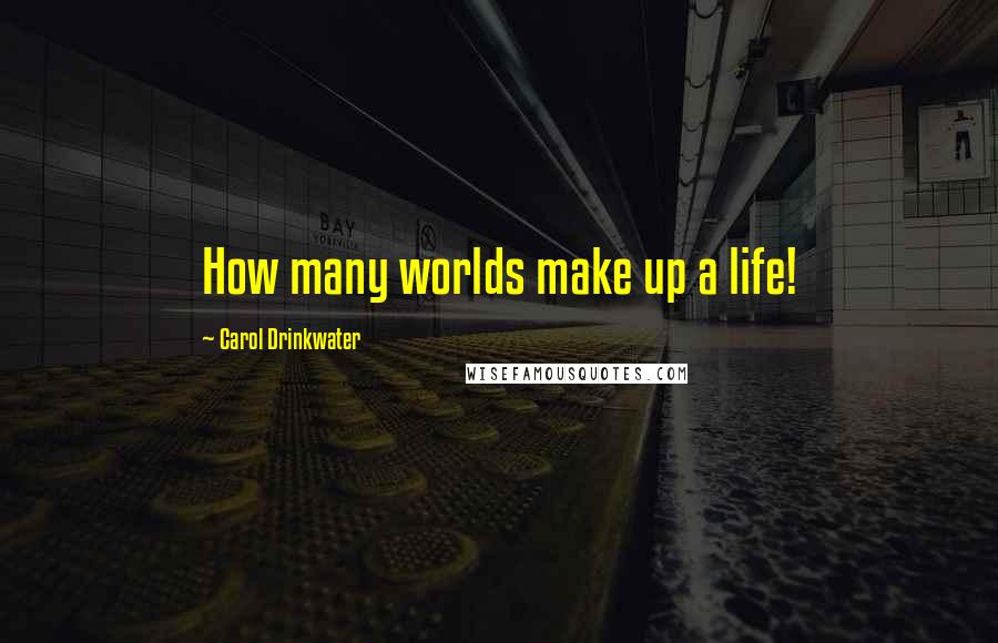Carol Drinkwater Quotes: How many worlds make up a life!