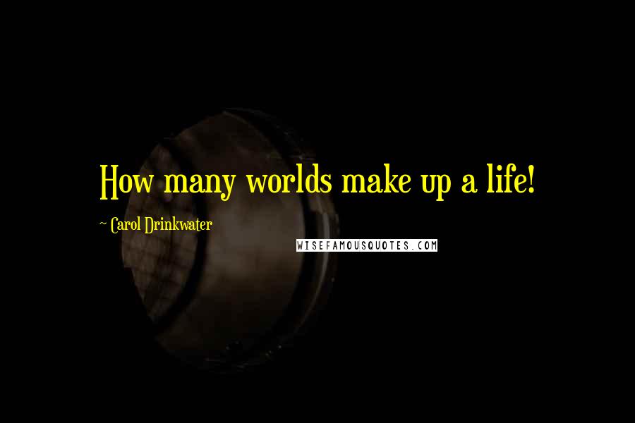 Carol Drinkwater Quotes: How many worlds make up a life!